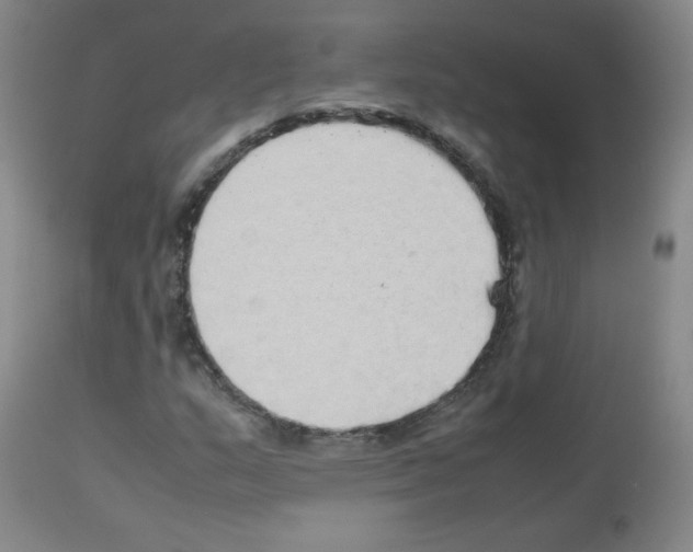 X0000113071159200910091201