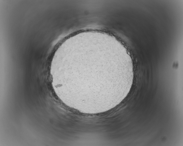 X0000113071160200910091201