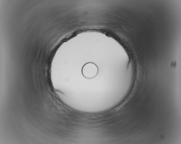 X0000113071161200910091201