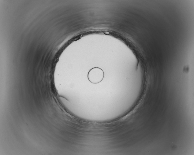 X0000113071162200910091201