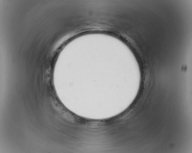 X0000113071163200910091201