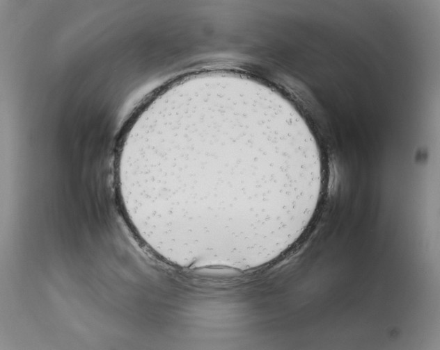 X0000113071164200910091201
