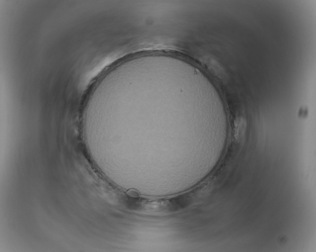 X0000113071165200910091201
