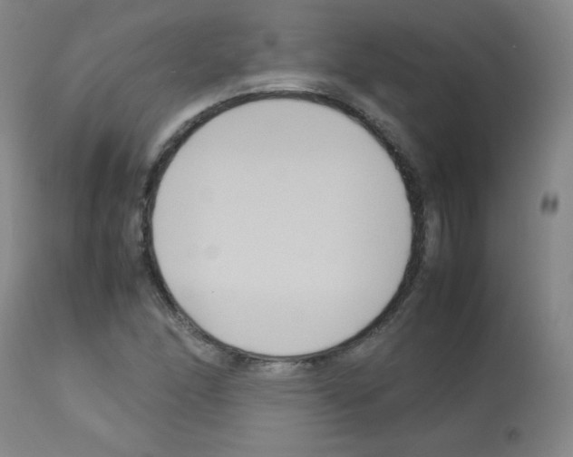 X0000113071166200910091201