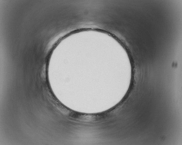 X0000113071167200910091200