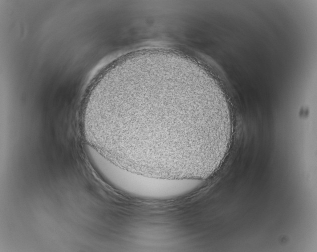 X0000113071168200910091200