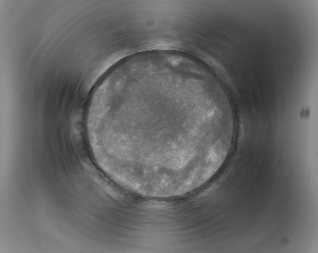 X0000113071170200910091200