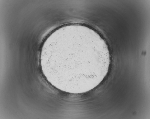 X0000113071171200910091200
