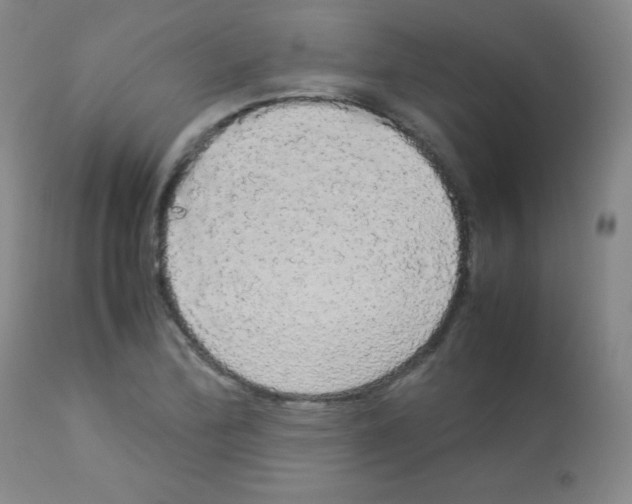 X0000113071172200910091200