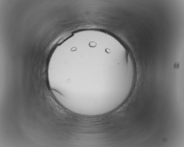 X0000113071173200910091200