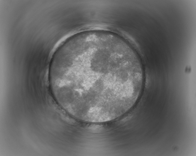 X0000113071174200910091200