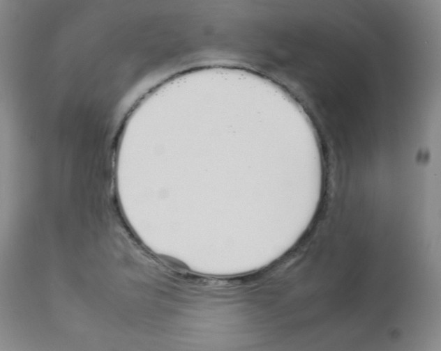 X0000113071175200910091200