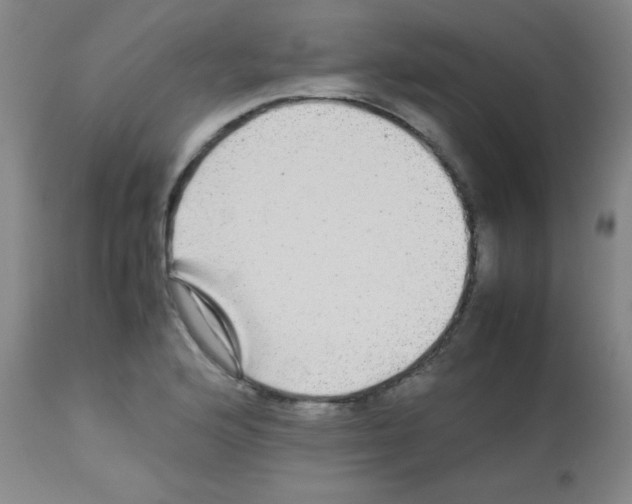X0000113071176200910091200