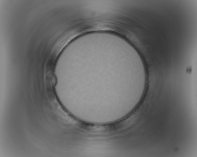 X0000113071177200910091200