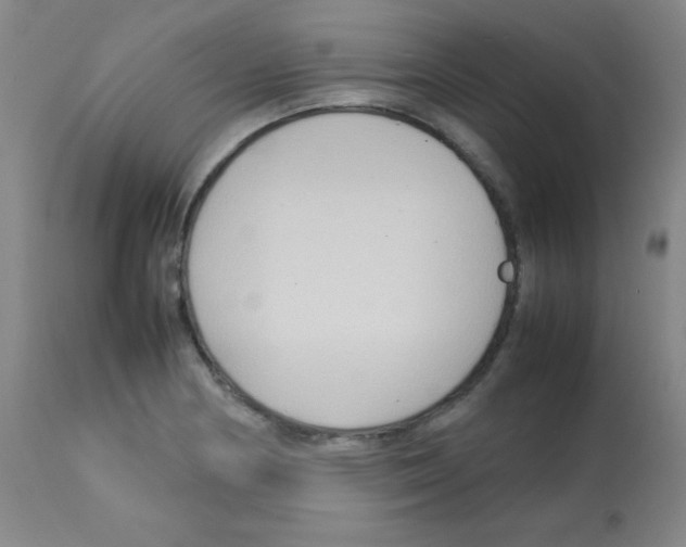 X0000113071178200910091200