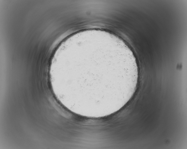 X0000113071179200910091200