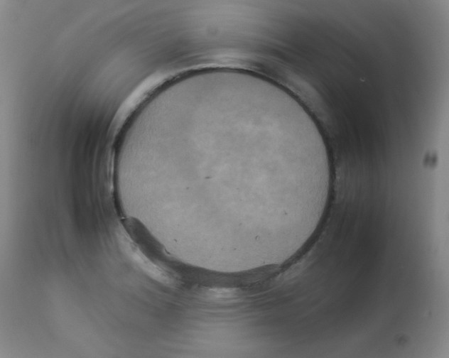 X0000113071180200910091200