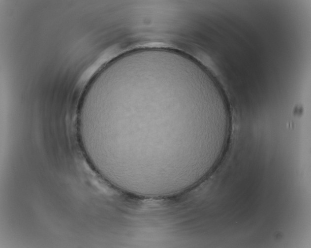 X0000113071181200910091200