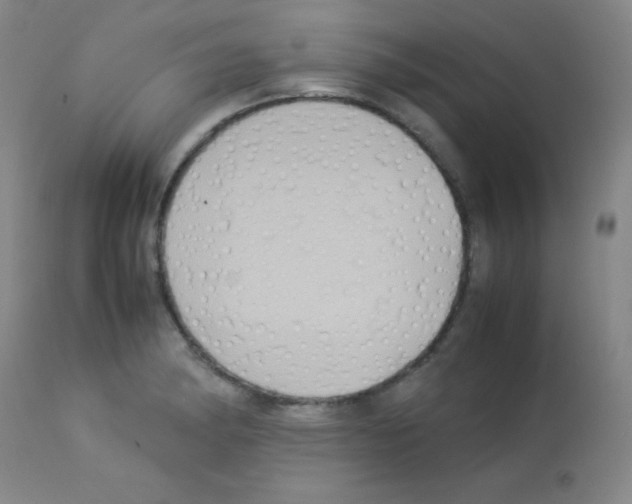 X0000113071182200910091200