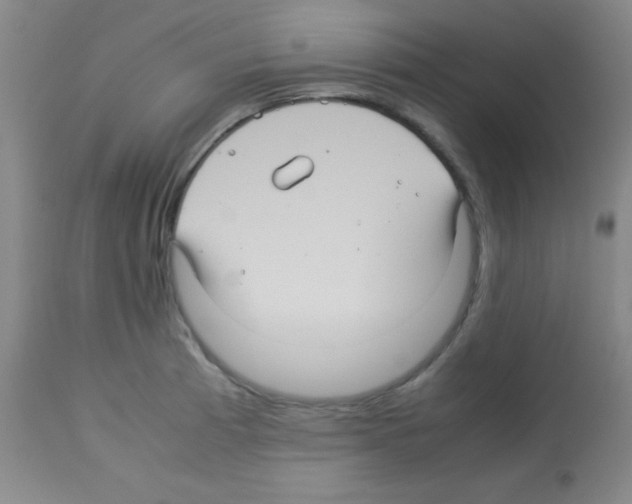 X0000113071185200910091200