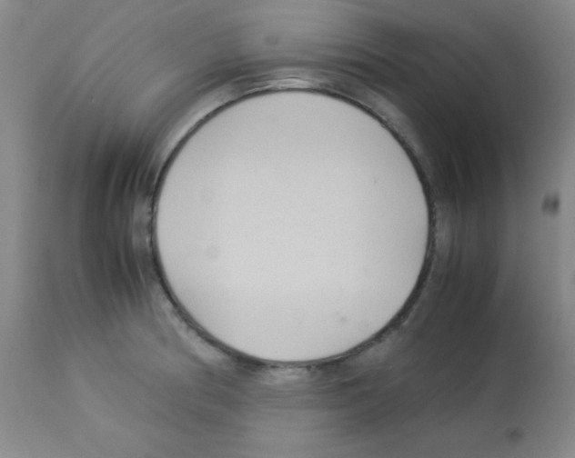 X0000113071186200910091200