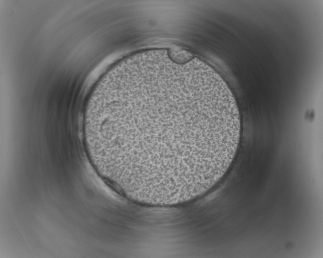 X0000113071188200910091200