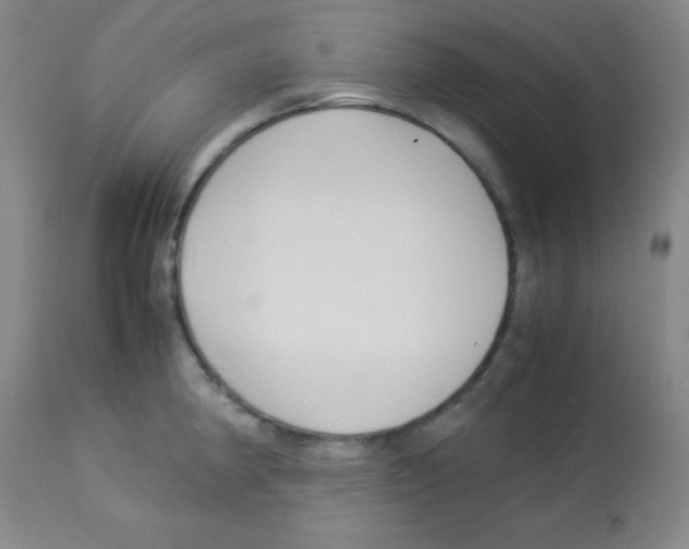 X0000113071190200910091200