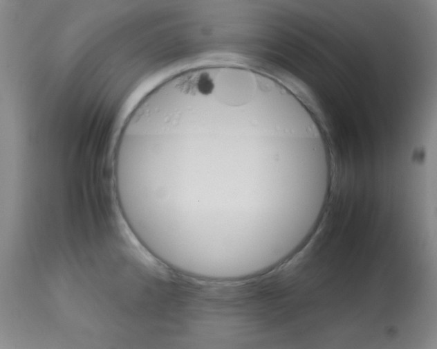 X0000113071192200910091200