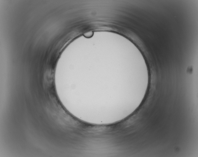 X0000113071193200910091200