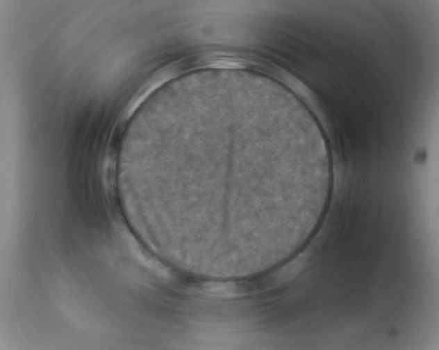 X0000113071194200910091200
