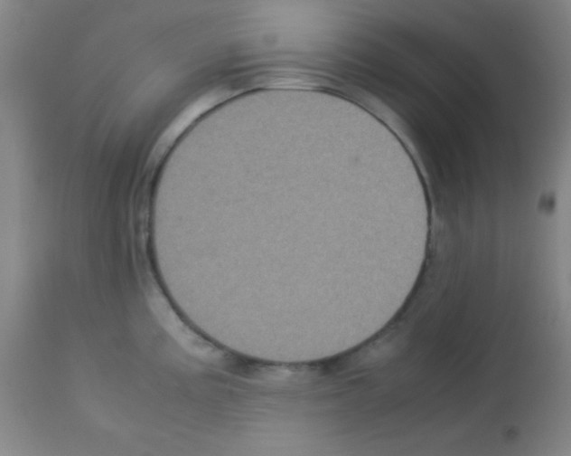 X0000113071195200910091200