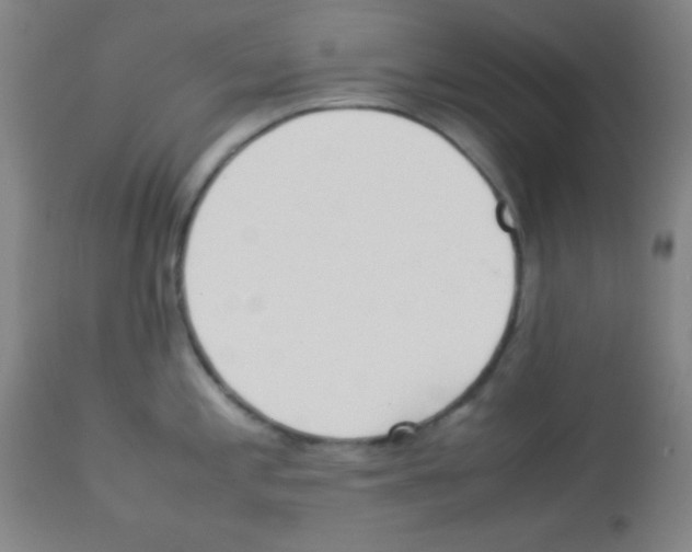 X0000113071197200910091200