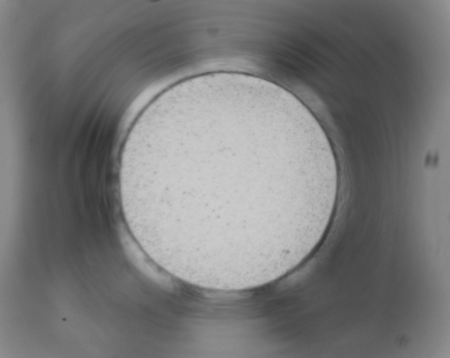 X0000113071200200910091200