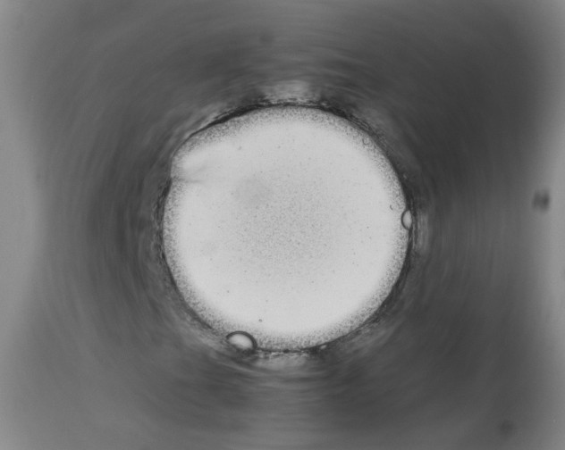 X0000113071201200910091159