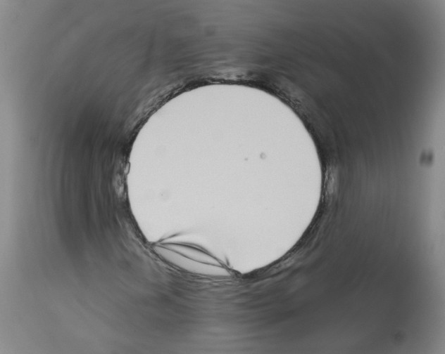 X0000113071202200910091159