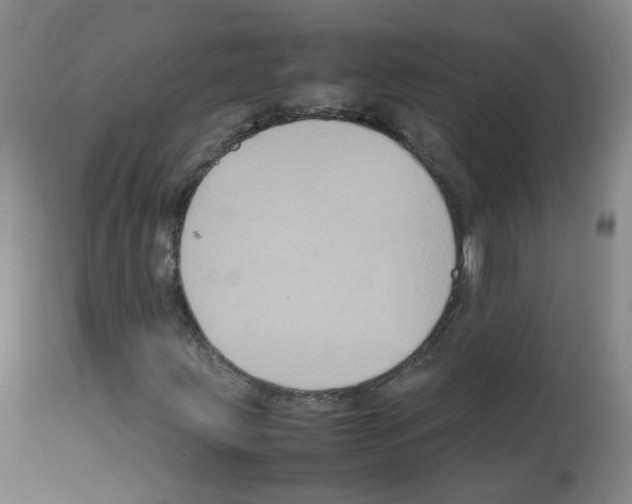 X0000113071203200910091159