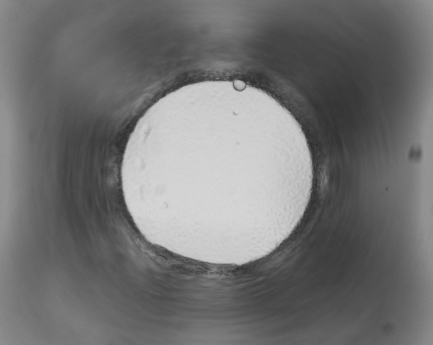 X0000113071204200910091159