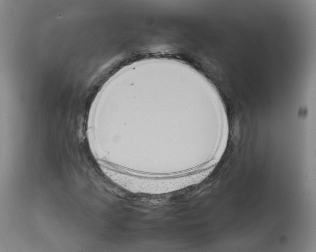 X0000113071205200910091159