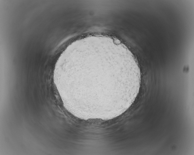 X0000113071206200910091159