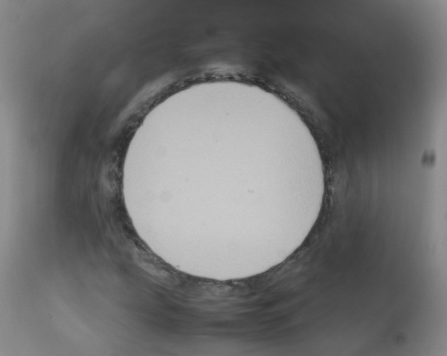 X0000113071207200910091159