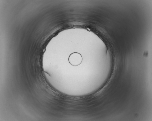 X0000113071209200910091159