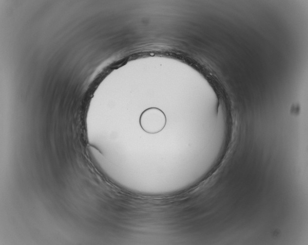 X0000113071210200910091159