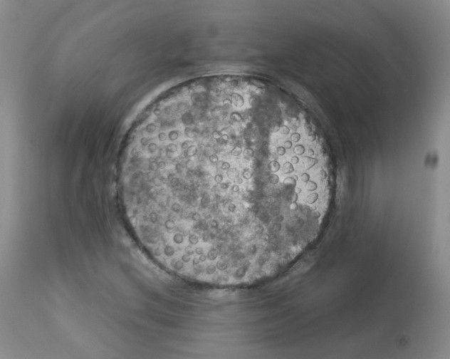 X0000113071212200910091159
