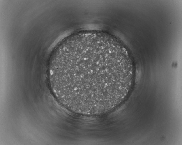 X0000113071213200910091159