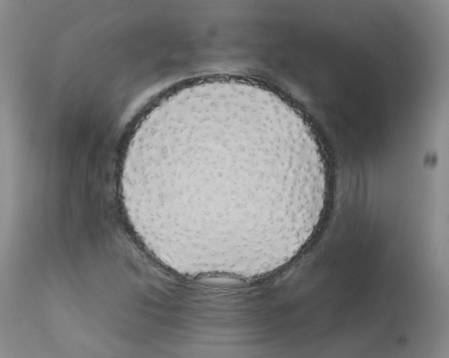 X0000113071214200910091159