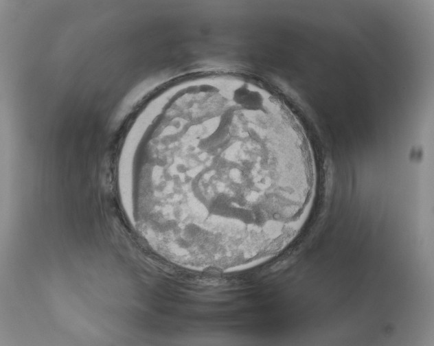 X0000113071215200910091159