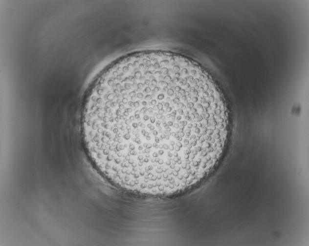 X0000113071216200910091159