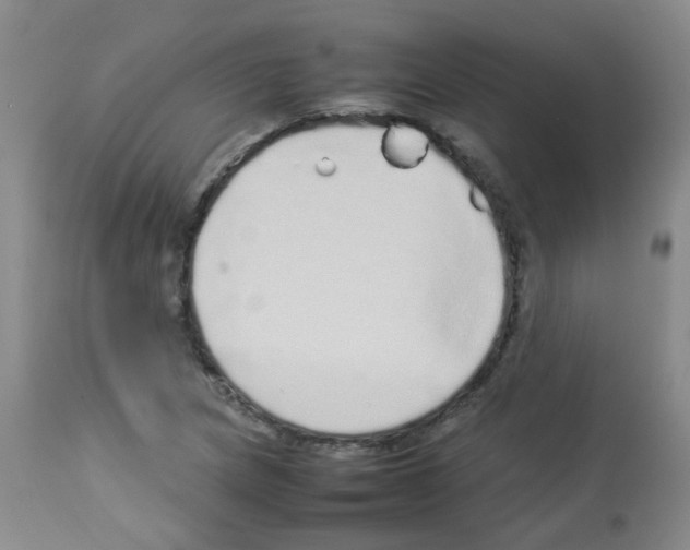 X0000113071217200910091159