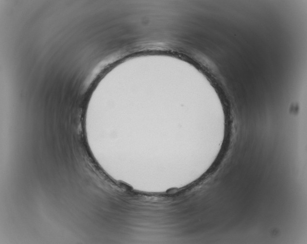 X0000113071218200910091159