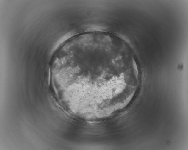 X0000113071219200910091159